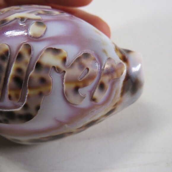 REAL Sea Shell Hand-Carved “Jennifer” Cowrie Shell Hawaiian - Picture 7 of 10